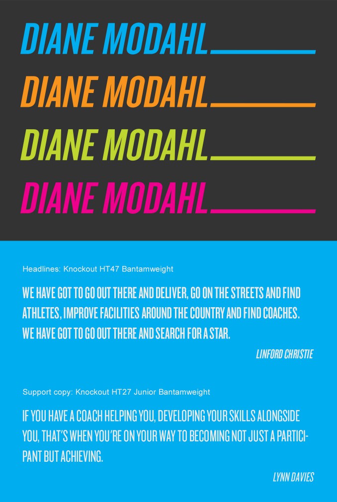 Diane Modahl personal brand and supporting typeface.