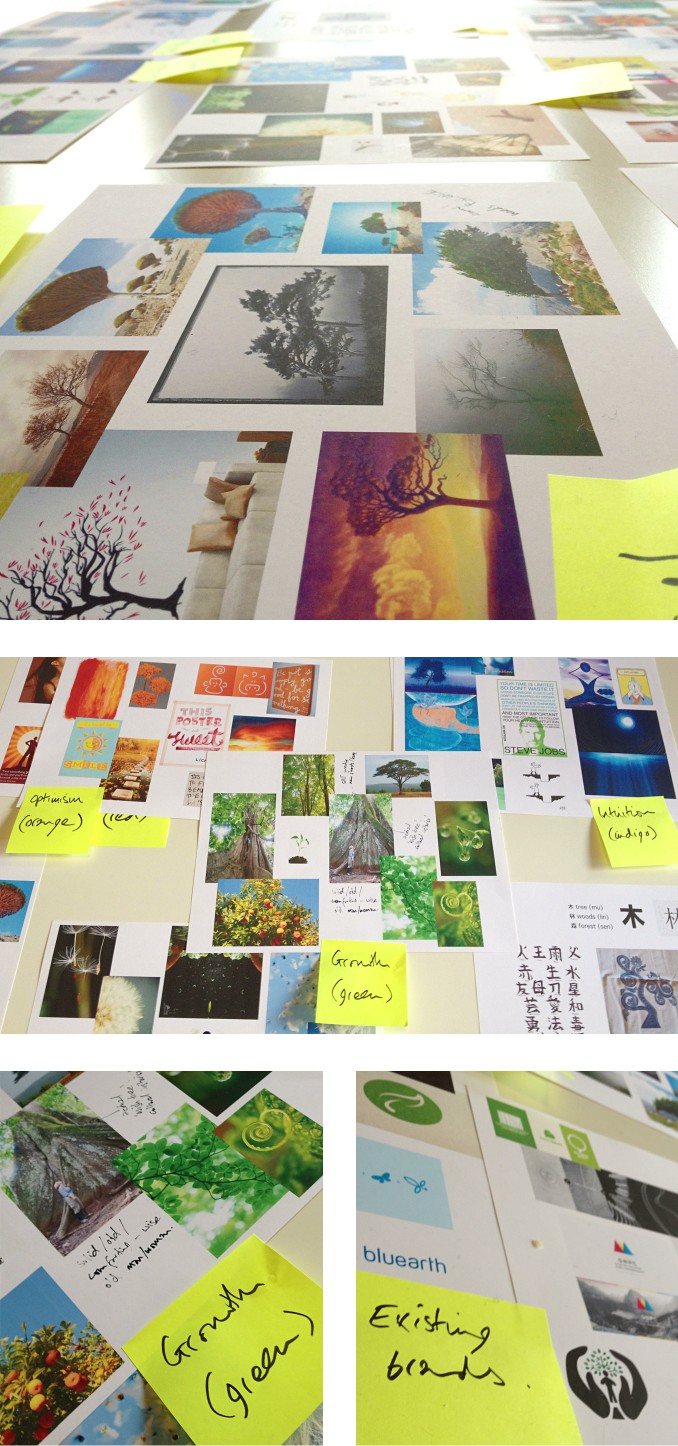 Developing a brand, mood boards at the early stages. Wish Tree.